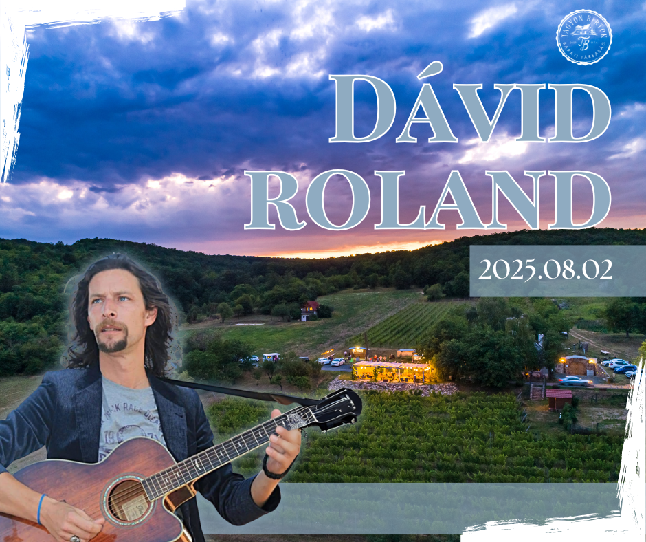 Rock & Bor – Dávid Roland élő estje