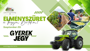 Élményszüret - gyerekjegy