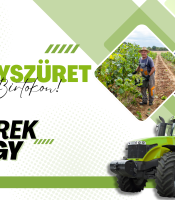 Élményszüret - gyerekjegy