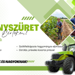 Élményszüret kicsiknek és nagyoknak!