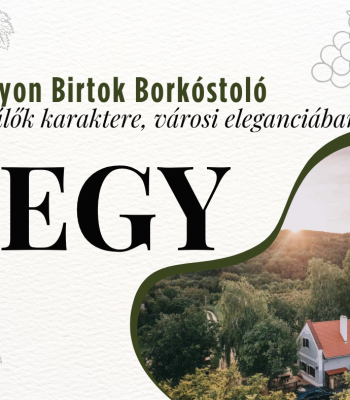 Borkóstoló jegy - Mixát udvar