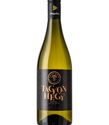 TAGYON BIRTOK - HEGYBOR 2024