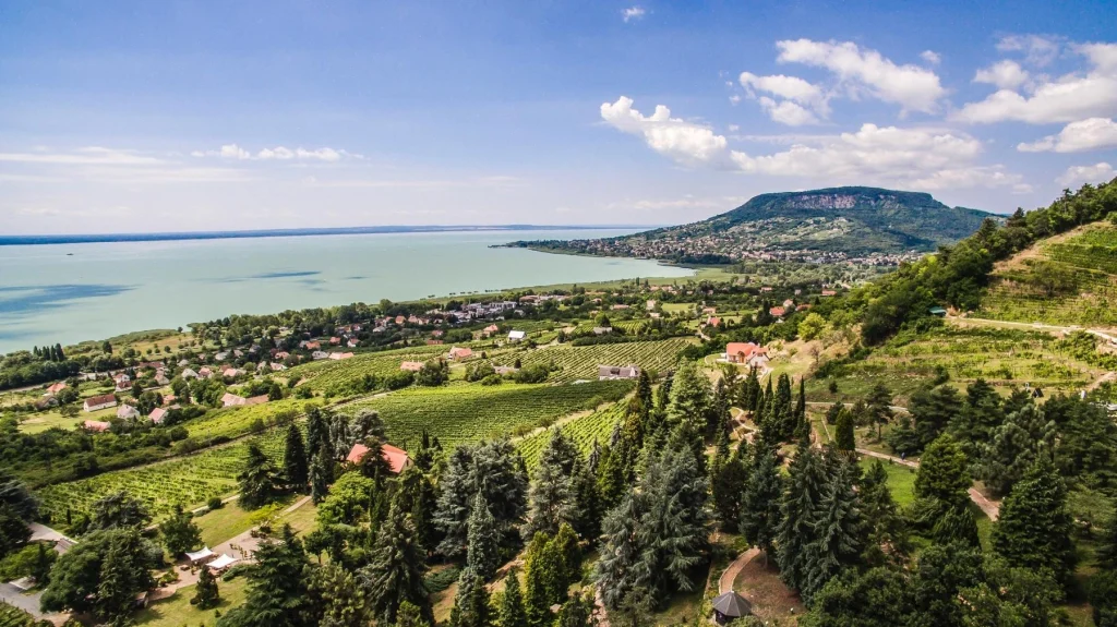 foll_arboretum_boraszat Folly arborétum és borászat